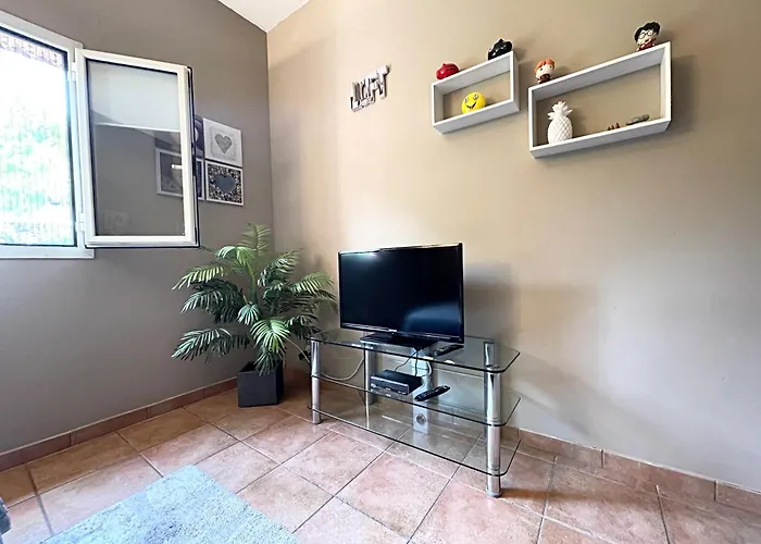 Delice Du Maquis Corse *